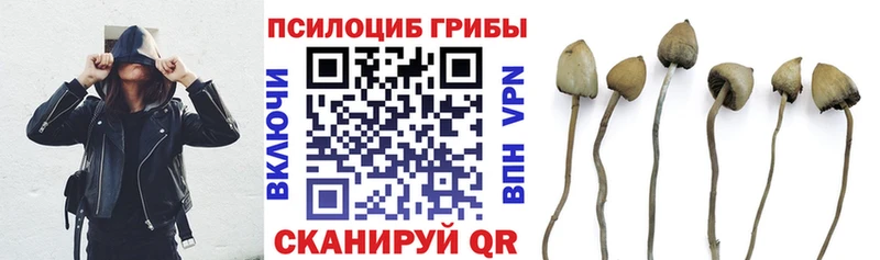 Галлюциногенные грибы ЛСД купить Астрахань