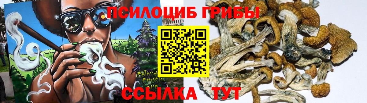 Галлюциногенные грибы Psilocybe  Вход с VPN  Астрахань  Галлюциногенные грибы мицелий 