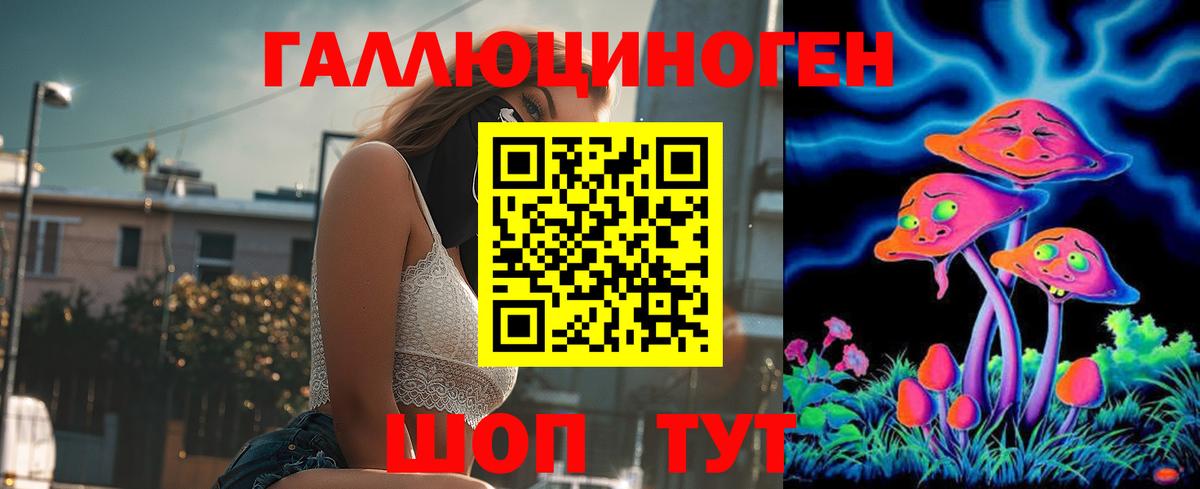 Псилоцибиновые грибы Psilocybe Астрахань
